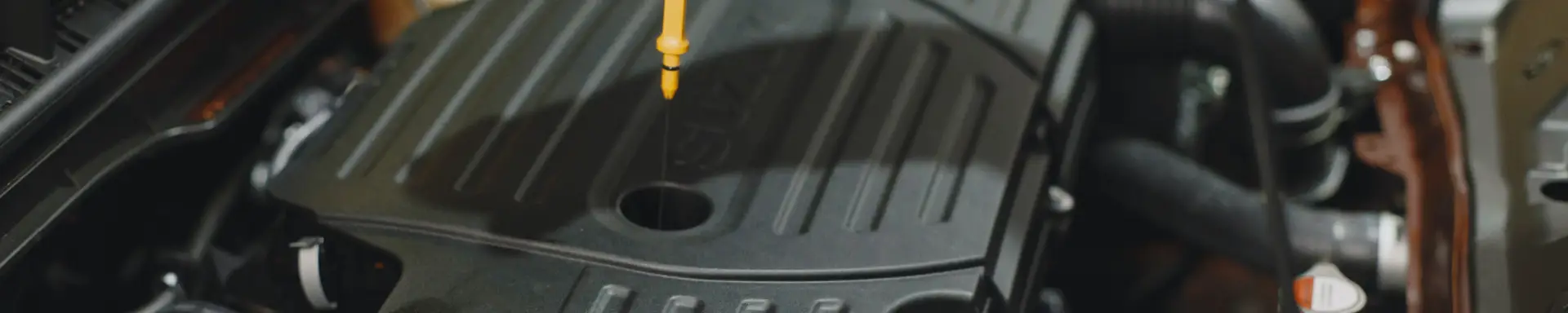 Was ist der Unterschied zwischen Service und Inspektion?