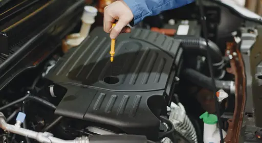 Image title Große inspektion